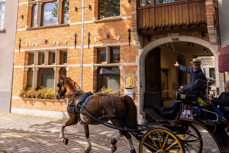 Gevel brouwerij De Halve Maan Walplein Paard